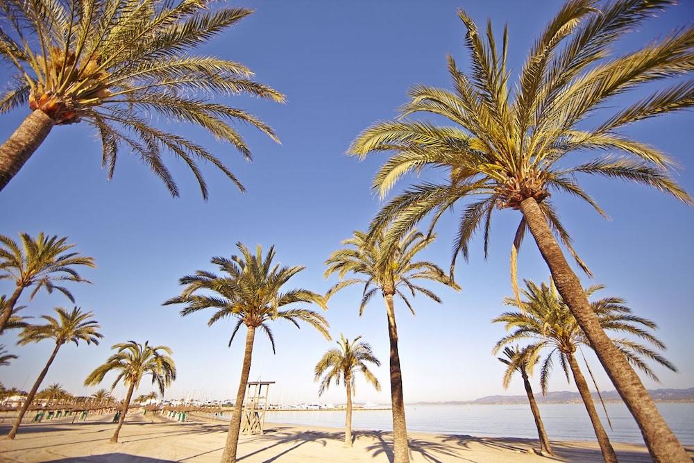 Sahara Nubia Gobi Hotell Ses Cadenes Exteriör bild Palma de Mallorca