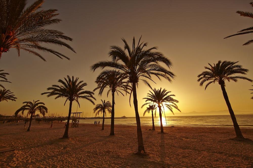 Sahara Nubia Gobi Hotell Ses Cadenes Exteriör bild Palm trees on the beach at sunset